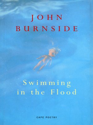cover image of Swimming In the Flood